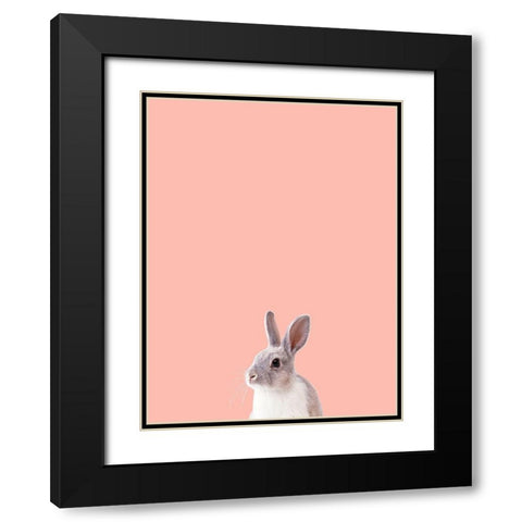 Bunny Black Modern Wood Framed Art Print with Double Matting by Phillip, Jamie