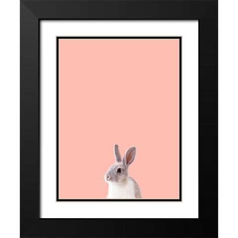 Bunny Black Modern Wood Framed Art Print with Double Matting by Phillip, Jamie