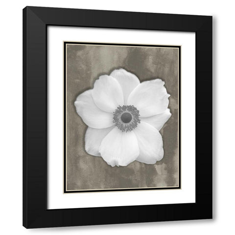 Pure White Flower Black Modern Wood Framed Art Print with Double Matting by Phillip, Jamie