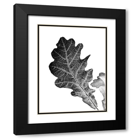 Shaded Leaf 2 Black Modern Wood Framed Art Print with Double Matting by Phillip, Jamie