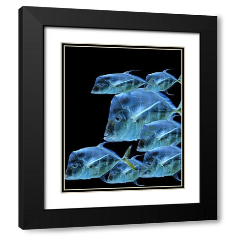 Fish Party Black Modern Wood Framed Art Print with Double Matting by Phillip, Jamie