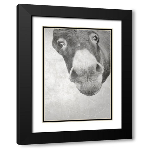 Farm Donkey Black Modern Wood Framed Art Print with Double Matting by Phillip, Jamie