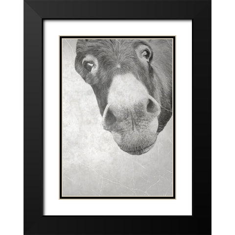 Farm Donkey Black Modern Wood Framed Art Print with Double Matting by Phillip, Jamie