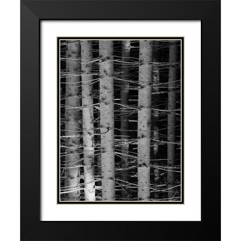 Dark Woods Black Modern Wood Framed Art Print with Double Matting by Phillip, Jamie