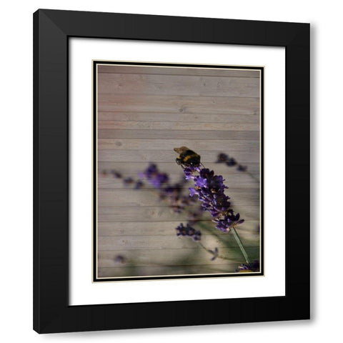 Lavender Dream Black Modern Wood Framed Art Print with Double Matting by Phillip, Jamie