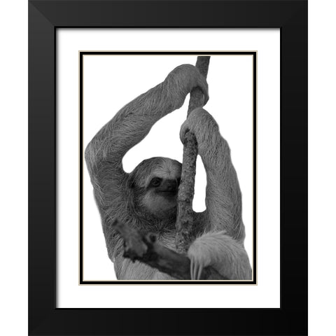 Hang In Black Modern Wood Framed Art Print with Double Matting by Phillip, Jamie