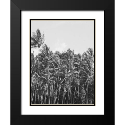 Trop Palm Black Modern Wood Framed Art Print with Double Matting by Phillip, Jamie