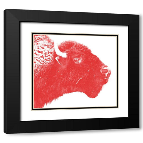 Colored Bison Black Modern Wood Framed Art Print with Double Matting by Phillip, Jamie