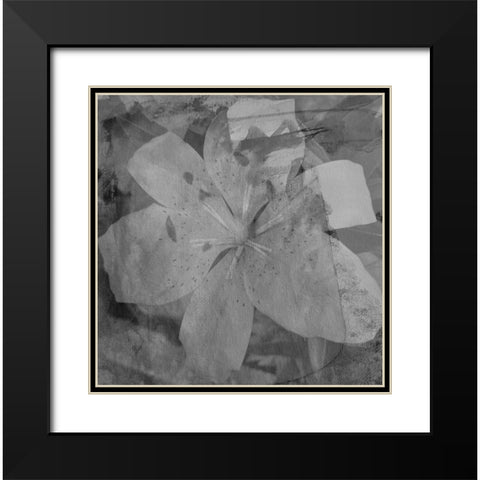 Love in The Garden 3 Black Modern Wood Framed Art Print with Double Matting by Phillip, Jamie