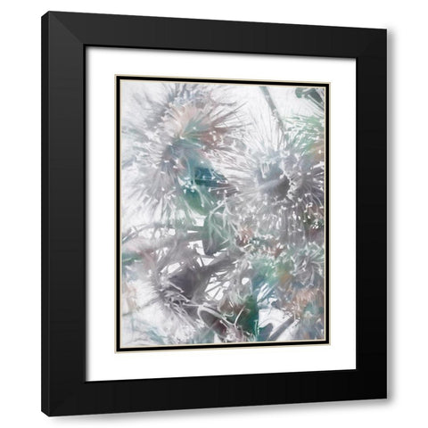 Flowering Gum II Black Modern Wood Framed Art Print with Double Matting by Urban Road