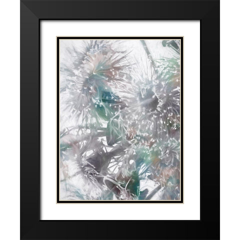 Flowering Gum II Black Modern Wood Framed Art Print with Double Matting by Urban Road