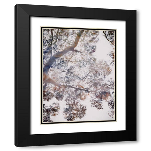 Whispering Jack II Black Modern Wood Framed Art Print with Double Matting by Urban Road