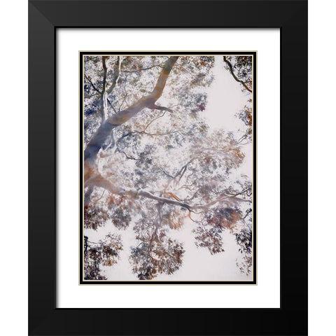 Whispering Jack II Black Modern Wood Framed Art Print with Double Matting by Urban Road