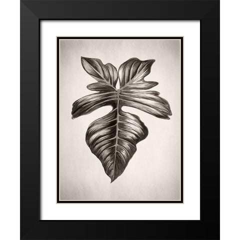 Verdure III Sepia Black Modern Wood Framed Art Print with Double Matting by Urban Road