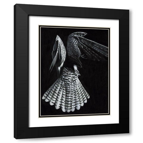 Fully Fledged Black Modern Wood Framed Art Print with Double Matting by Urban Road