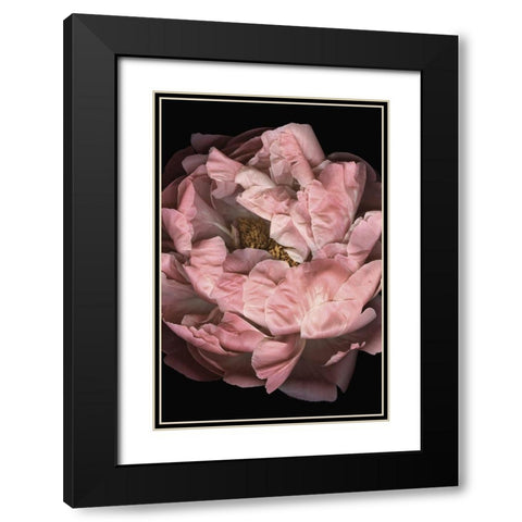 Hopeful I Black Modern Wood Framed Art Print with Double Matting by Urban Road