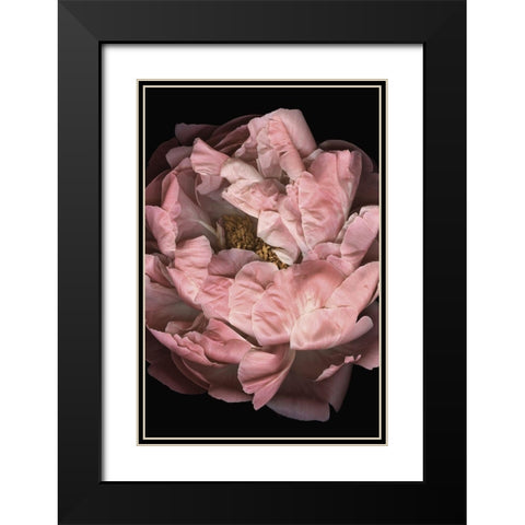 Hopeful I Black Modern Wood Framed Art Print with Double Matting by Urban Road