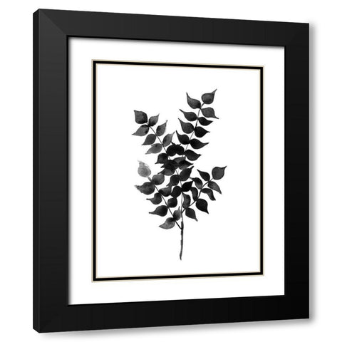 Cedar Black Poster Black Modern Wood Framed Art Print with Double Matting by Urban Road