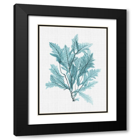 Aruba Turquoise Poster Black Modern Wood Framed Art Print with Double Matting by Urban Road