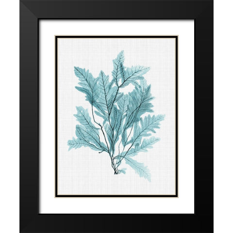 Aruba Turquoise Poster Black Modern Wood Framed Art Print with Double Matting by Urban Road