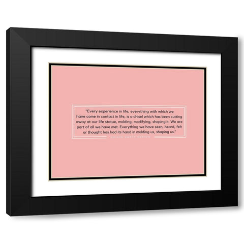 Orison Swett Marden Quote: Experience in Life Black Modern Wood Framed Art Print with Double Matting by ArtsyQuotes