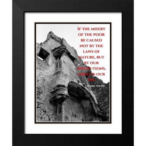 Charles Darwin Quote: Misery of the Poor Black Modern Wood Framed Art Print with Double Matting by ArtsyQuotes