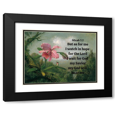 Bible Verse Quote Micah 7:7, Martin Johnson Heade - Orchid and Hummingbird Black Modern Wood Framed Art Print with Double Matting by ArtsyQuotes