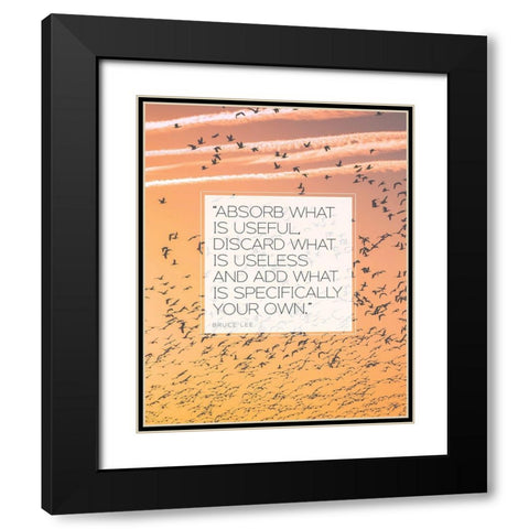 Bruce Lee Quote: Absorb What is Useful Black Modern Wood Framed Art Print with Double Matting by ArtsyQuotes