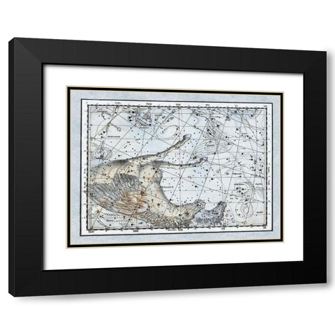 Maps of the Heavens: Pegasus the Horse Black Modern Wood Framed Art Print with Double Matting by Jamieson, Alexander
