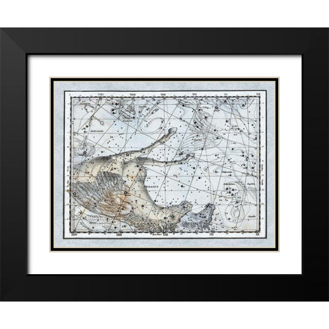 Maps of the Heavens: Pegasus the Horse Black Modern Wood Framed Art Print with Double Matting by Jamieson, Alexander