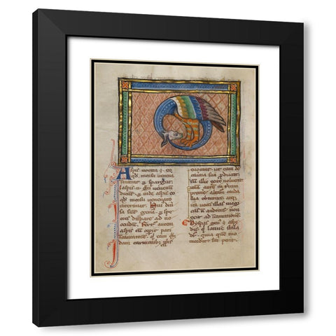 A Dragon-like Snake Black Modern Wood Framed Art Print with Double Matting by Franco-Flemish 13th Century