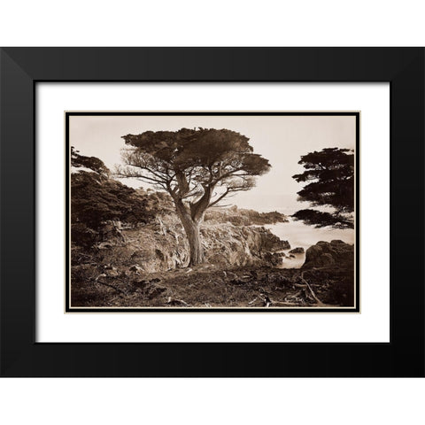 Cypress Point, Monterey, California, about 1880s Black Modern Wood Framed Art Print with Double Matting by Watkins, Carleton