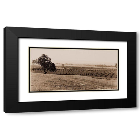 Young Orchard, Palermo, Butte County, California, 1888-1891 Black Modern Wood Framed Art Print with Double Matting by Watkins, Carleton