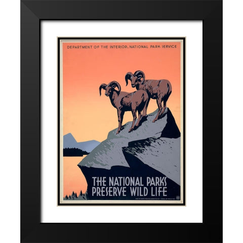 The National Parks Preserve Wild Life, ca. 1936-1939 Black Modern Wood Framed Art Print with Double Matting by Hirt, J.