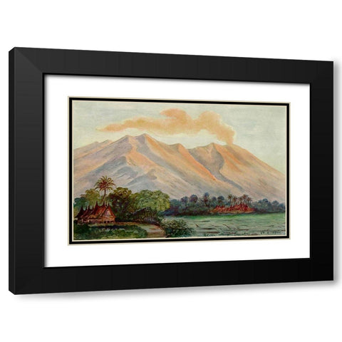Riesen-Myrte von Ceylon Urwald von Horton-Plains Black Modern Wood Framed Art Print with Double Matting by Haeckel, Ernst