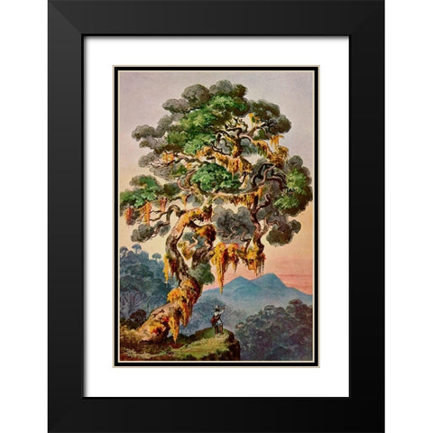 Der Vulkan Merapi auf Sumatra Hochland von Padang Black Modern Wood Framed Art Print with Double Matting by Haeckel, Ernst