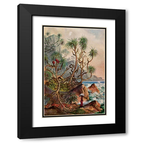 Pandanus bei Matura Schraubenpalmen an der Sudkuste von Ceylon Black Modern Wood Framed Art Print with Double Matting by Haeckel, Ernst