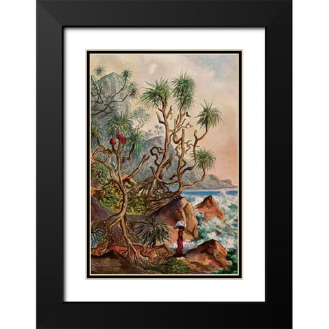 Pandanus bei Matura Schraubenpalmen an der Sudkuste von Ceylon Black Modern Wood Framed Art Print with Double Matting by Haeckel, Ernst