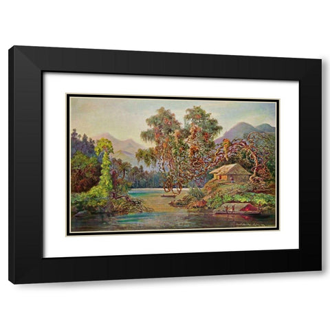 Aralien mit Lianen am Schwarzen Flusse (Ceylon) Black Modern Wood Framed Art Print with Double Matting by Haeckel, Ernst