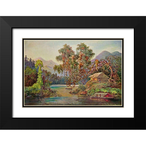 Aralien mit Lianen am Schwarzen Flusse (Ceylon) Black Modern Wood Framed Art Print with Double Matting by Haeckel, Ernst