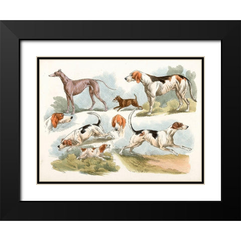 Hunting Dogs, 1817 Black Modern Wood Framed Art Print with Double Matting by Alken, Henry Thomas