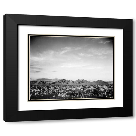 Distant mountains: desert and shrubs in foreground near Death Valley National Monument, California - Black Modern Wood Framed Art Print with Double Matting by Adams, Ansel