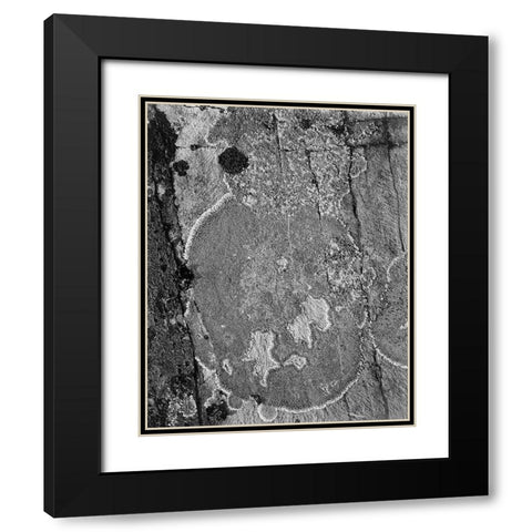 Lichons, Glacier National Park, Montana - National Parks and Monuments, 1941 Black Modern Wood Framed Art Print with Double Matting by Adams, Ansel