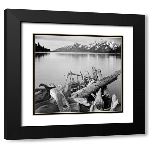 Driftwood on shore of Jackson Lake, with Teton Range in background, Grand Teton National Park, Wyomi Black Modern Wood Framed Art Print with Double Matting by Adams, Ansel