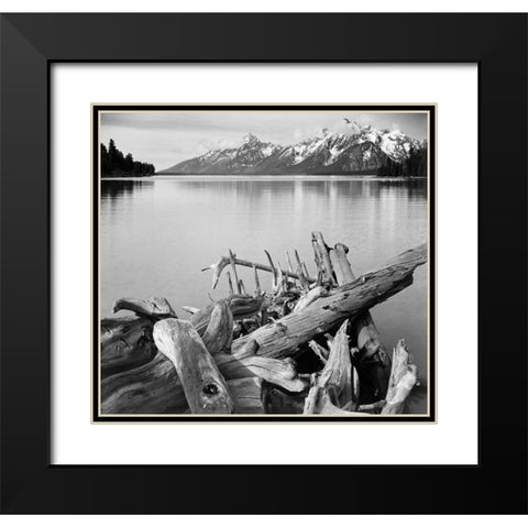 Driftwood on shore of Jackson Lake, with Teton Range in background, Grand Teton National Park, Wyomi Black Modern Wood Framed Art Print with Double Matting by Adams, Ansel