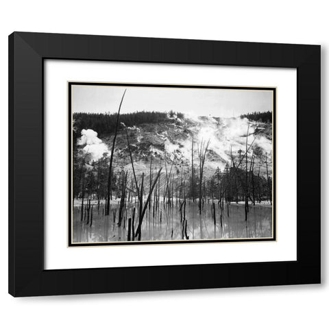Barren trunks in water near steam rising from mountains, Roaring Mountain, Yellowstone National Park Black Modern Wood Framed Art Print with Double Matting by Adams, Ansel