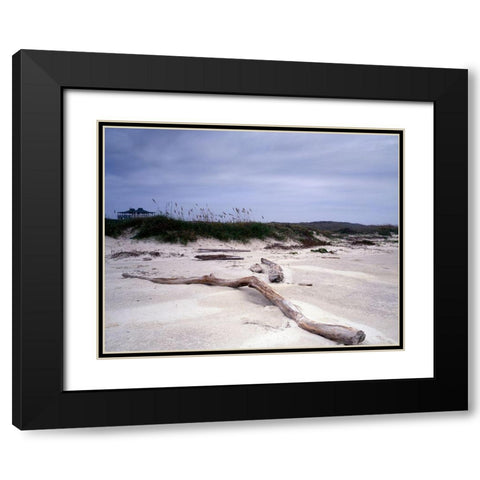 Driftwood on beach at Padre Island, TX Black Modern Wood Framed Art Print with Double Matting by Highmith, Carol