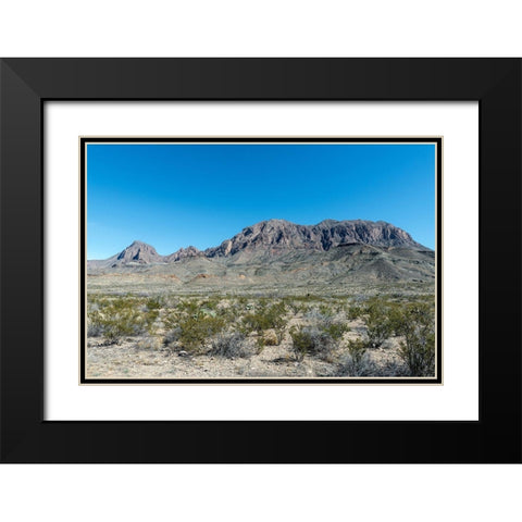 Scenery in Big Bend National Park, TX Black Modern Wood Framed Art Print with Double Matting by Highmith, Carol