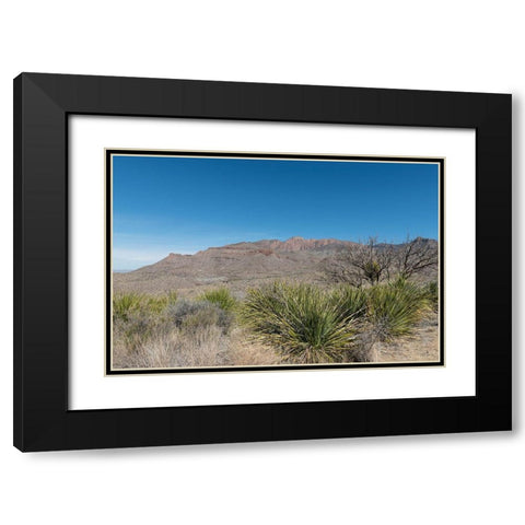 Scenery in Big Bend National Park, TX Black Modern Wood Framed Art Print with Double Matting by Highmith, Carol