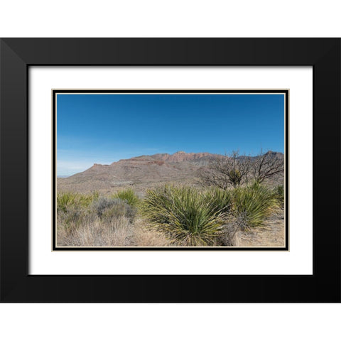 Scenery in Big Bend National Park, TX Black Modern Wood Framed Art Print with Double Matting by Highmith, Carol